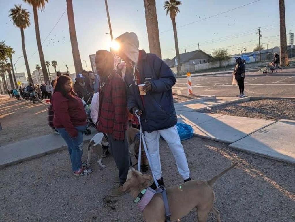 People and dogs wait in line on a sunny street with palm trees.