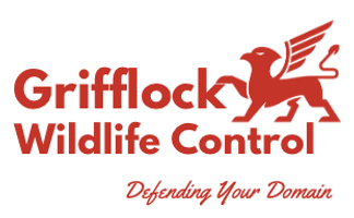 Grifflock Pest Control