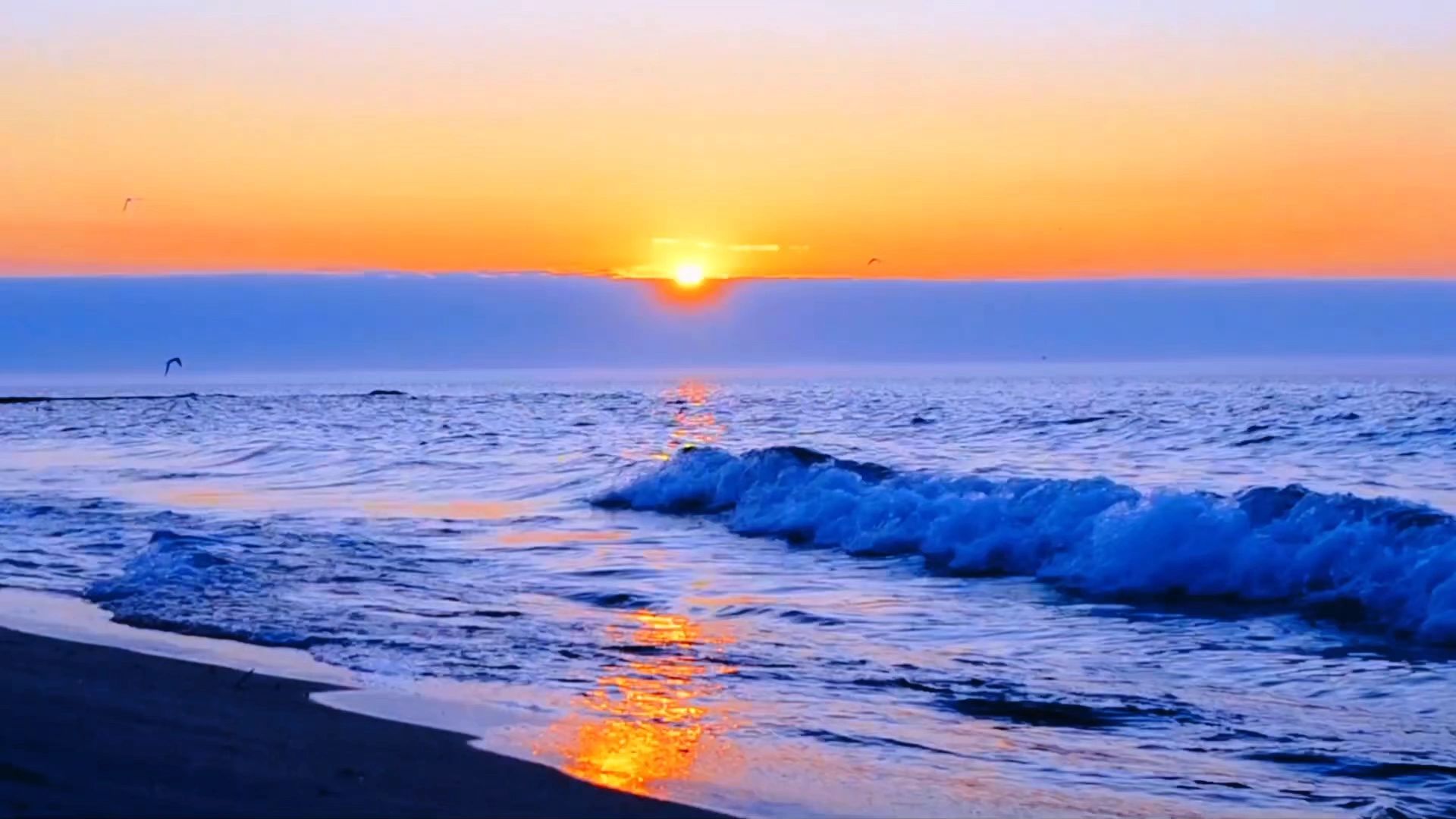 https://img1.wsimg.com/isteam/ip/d0f99b95-00b1-494f-a26f-8845bfe5402c/thumbnails/thumbnail-59d1cf9d-a8a7-41c5-86ed-18eec7cc6cbe.png