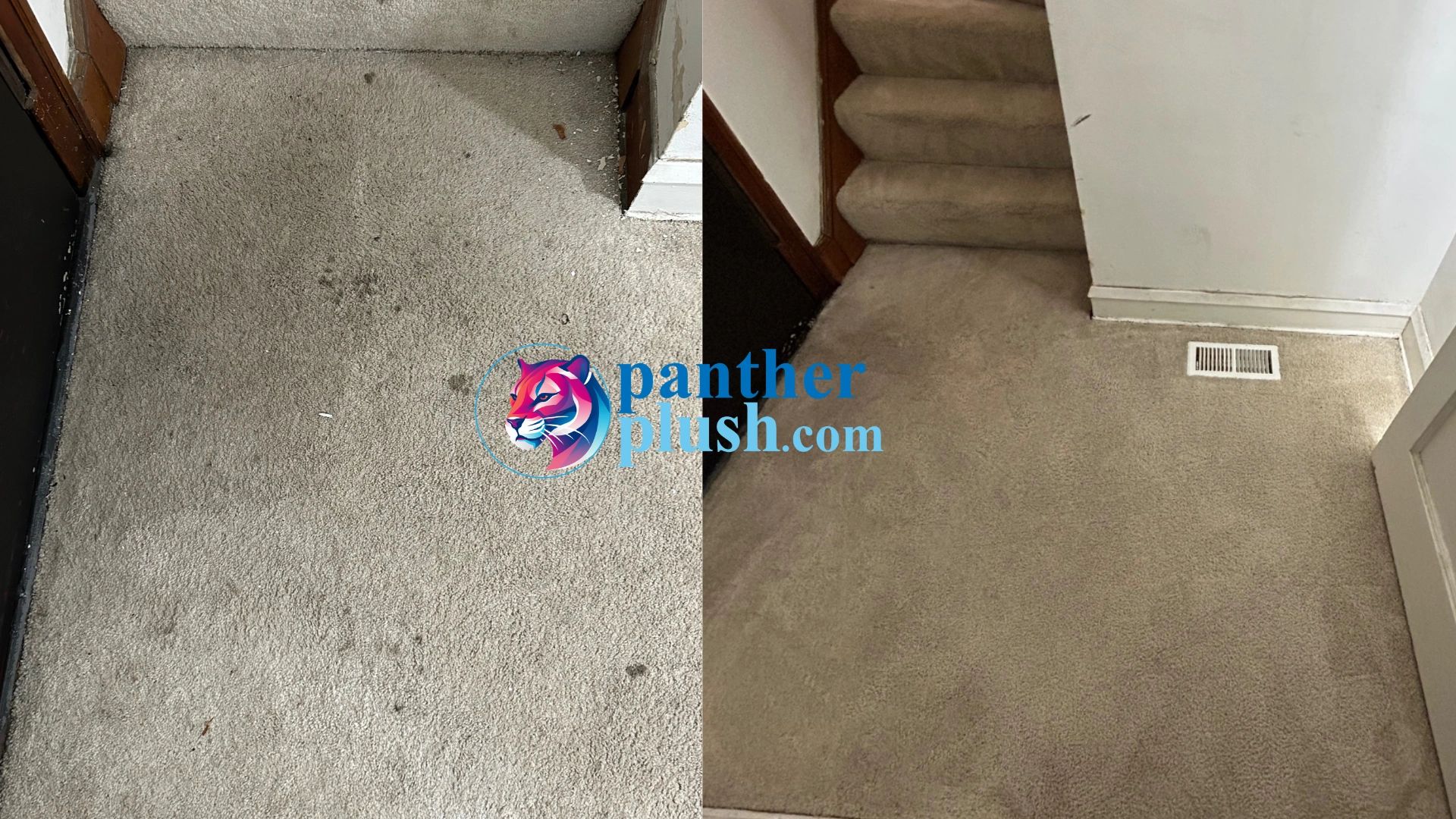 Before and after of dirty carpet being cleaned by carpet cleaning professional at Panther Plush.
