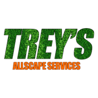 Tree Specialist LLC