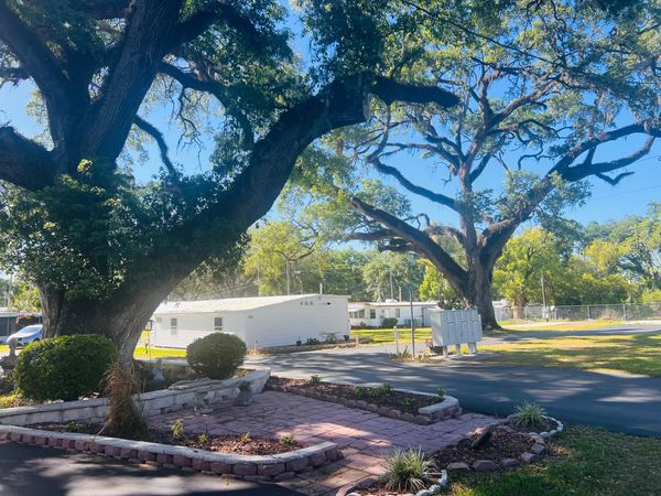 Large trees shade a small garden and mobile homes in a sunny neighborhood.