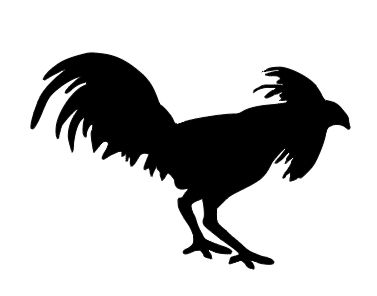 Fighting Rooster 2 Decal