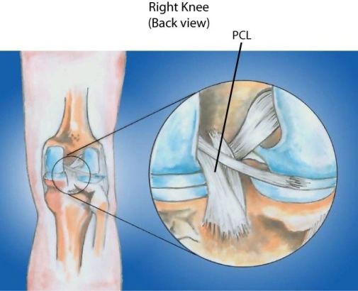 Knee - Frequently Asked Questions