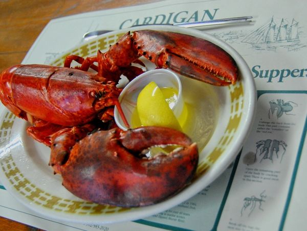 Lobster Suppers - Cardigan Lobster Suppers / 1888 Pub