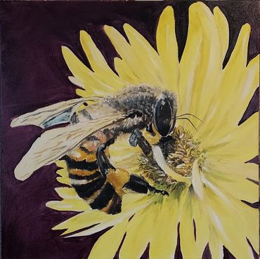Oil on Stretched Gallery canvas 30 x 30 