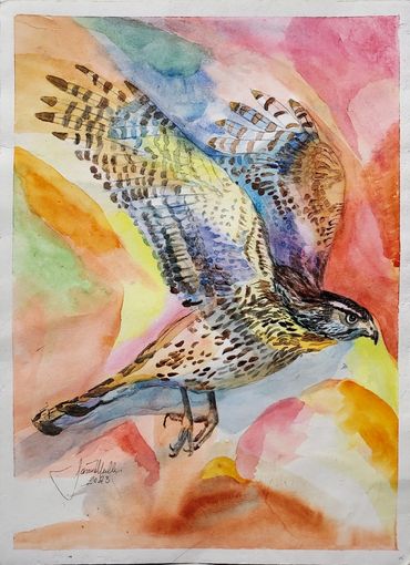 Watercolor  11x13  matted 16 x 20 metal frame