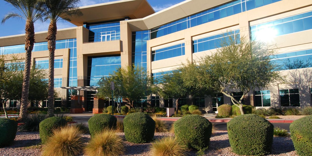 Office cleaning services