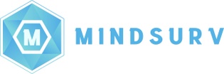 Mindsurv