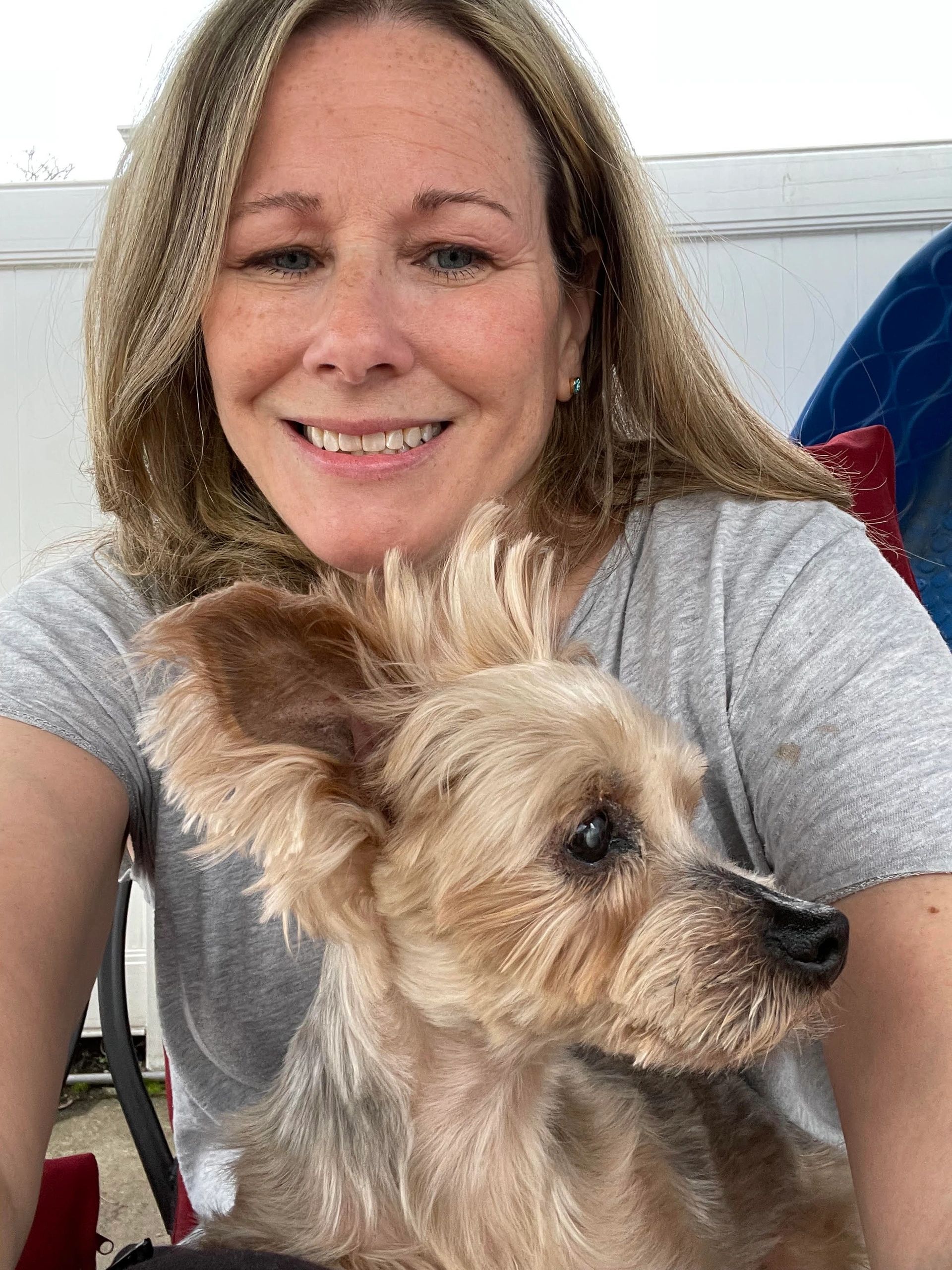 Caring Experienced Dog Walking Pet Sitting caring-experienced-dog-walking-pet-sitting