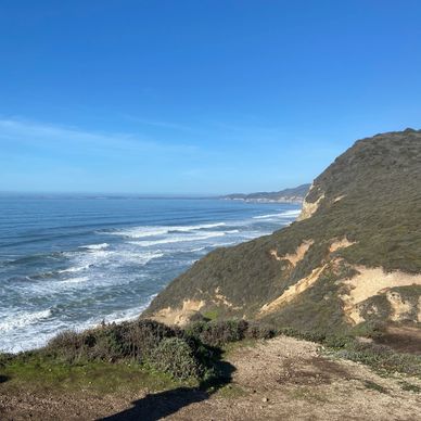 The rolling coast line of Tomales Point in Point Reyes National Park.