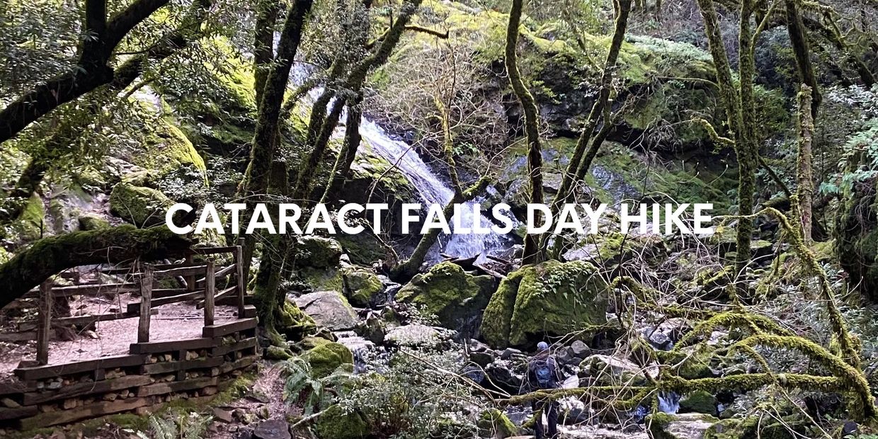 Cataract Falls, Mount Tamalpais State Park, California.