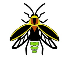 Smart Pest Control Service,
Inc.