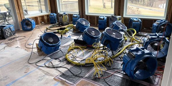 Multiple blue industrial fans and ducts set up indoors for drying or ventilation.