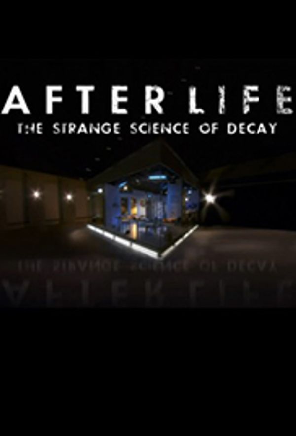 TV Series - Afterlife 
Dir - Various
Prod - BBC
Previz Supervisor - Nigel Hunt