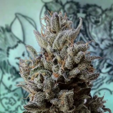 Trichome Guardians: 11 Ways To Ensure Your High-Quality Weed Stays Flu –  Flower Mill