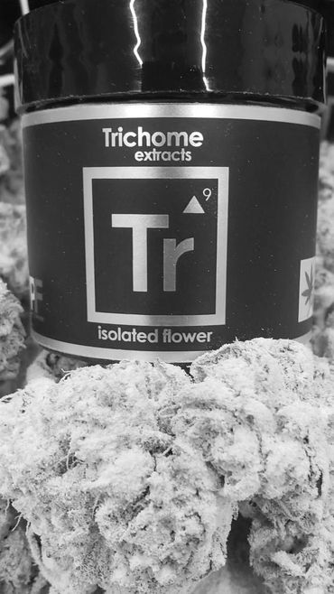 thca isolate coated raw cannabis flower hybrid concentrate