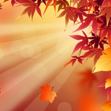 Autumn leaves with sun rays in warm tones.