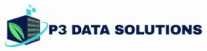 P3 DATA SOLUTIONS
