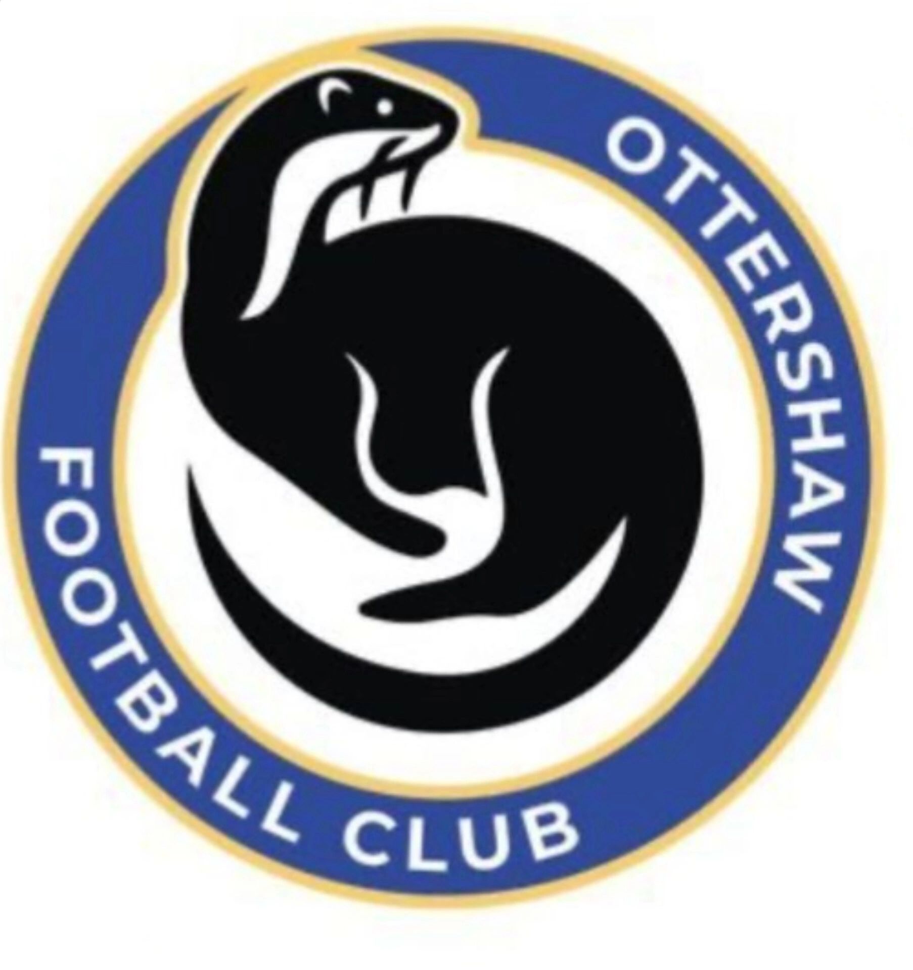 Ottershaw JFC