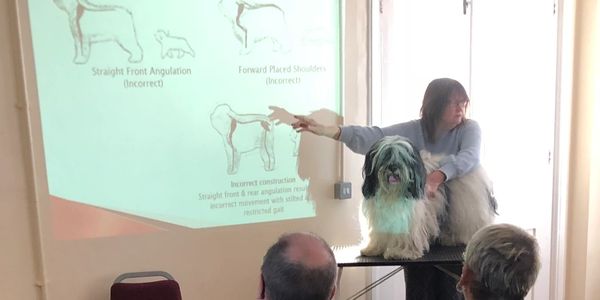 Breed Appreciation Day. Diane Mottram
