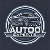 OTG Auto Experts 
