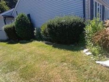 Before picture of a landscape bed transformation. Install of landscape border stone and mulch 