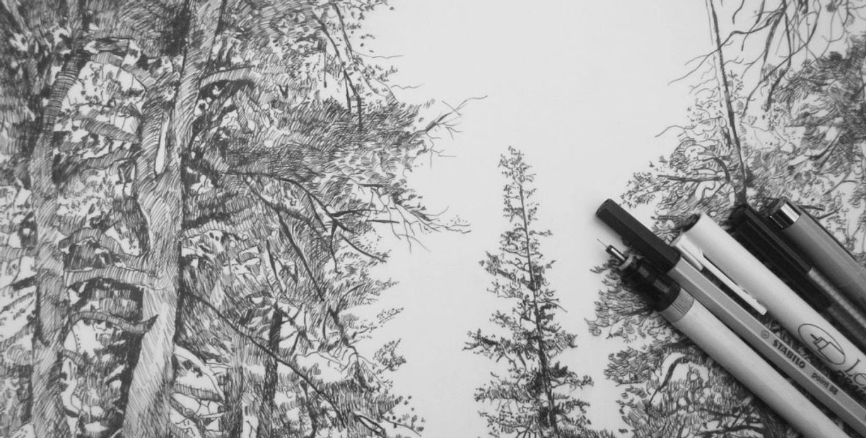 Dark, bare branches contrasting against a bright white blanket of snow and a trickling stream