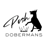 Poshdobermans