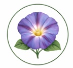 holistic therapy ctr