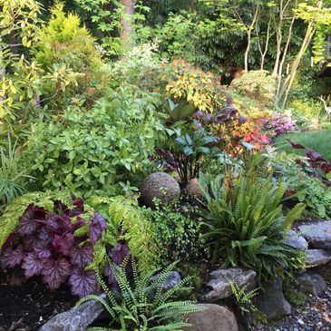 Pacific Northwest shade garden residential landscape