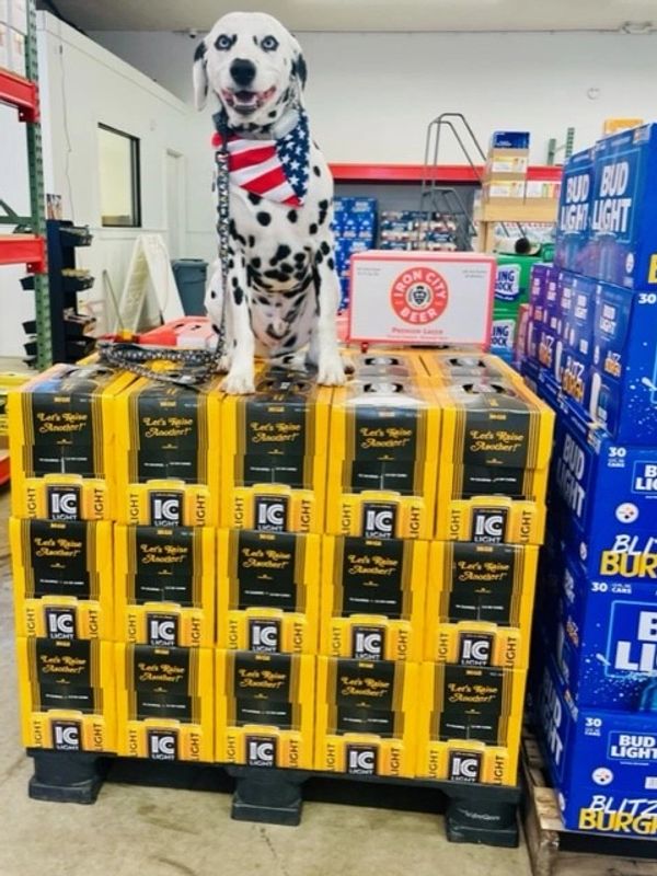 Zamp's Brew Thru Beer Distributor, Beer