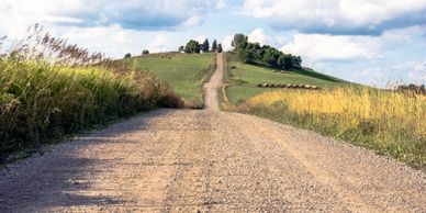 A gravel road stretches through grassy fields toward a hill with trees and a house.