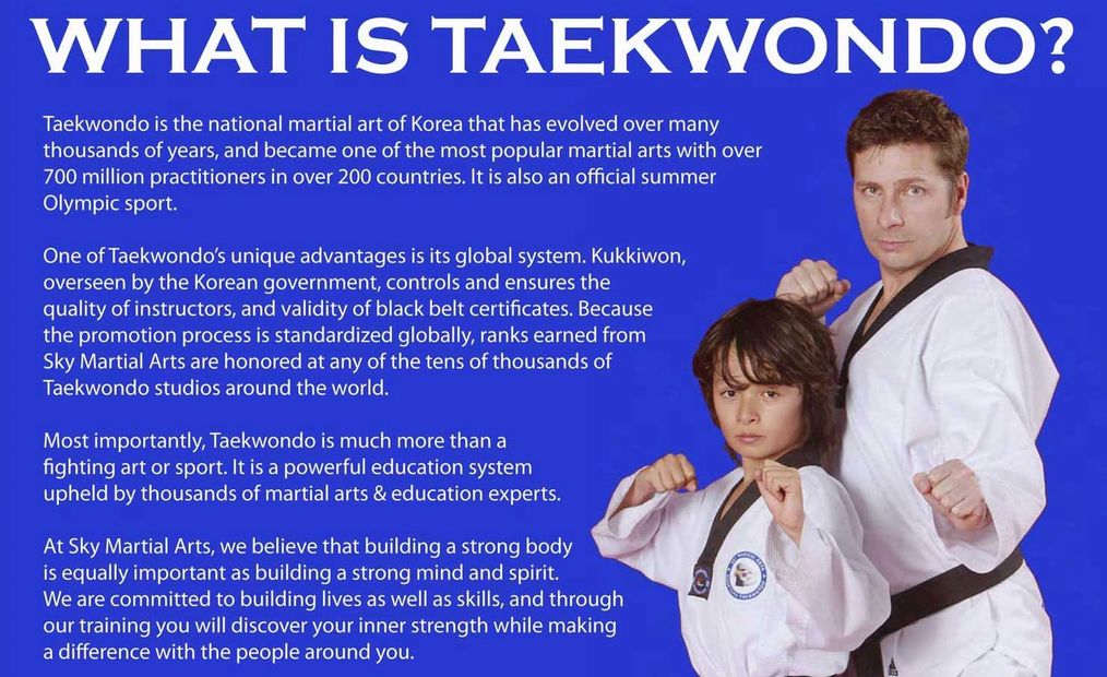 Sky Martial Arts kids adults Taekwondo self-defense family health activity Dublin Pleasanton school