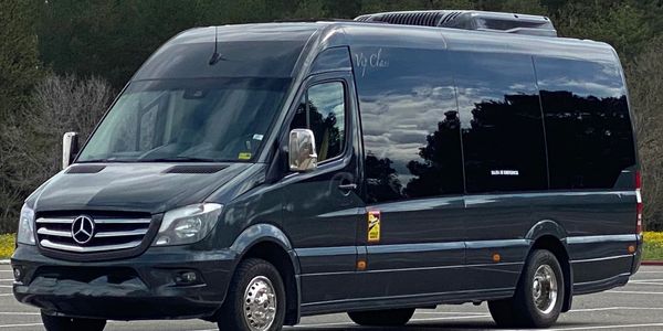 Minibus Sprinter en Parking