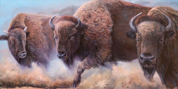 Three buffalos running through a dusty terrain.