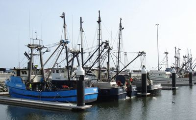 Fishing boats docked at the Crescent City Harbor