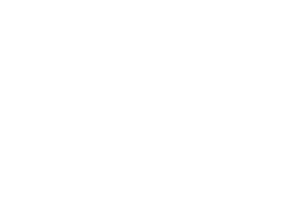 DMDV