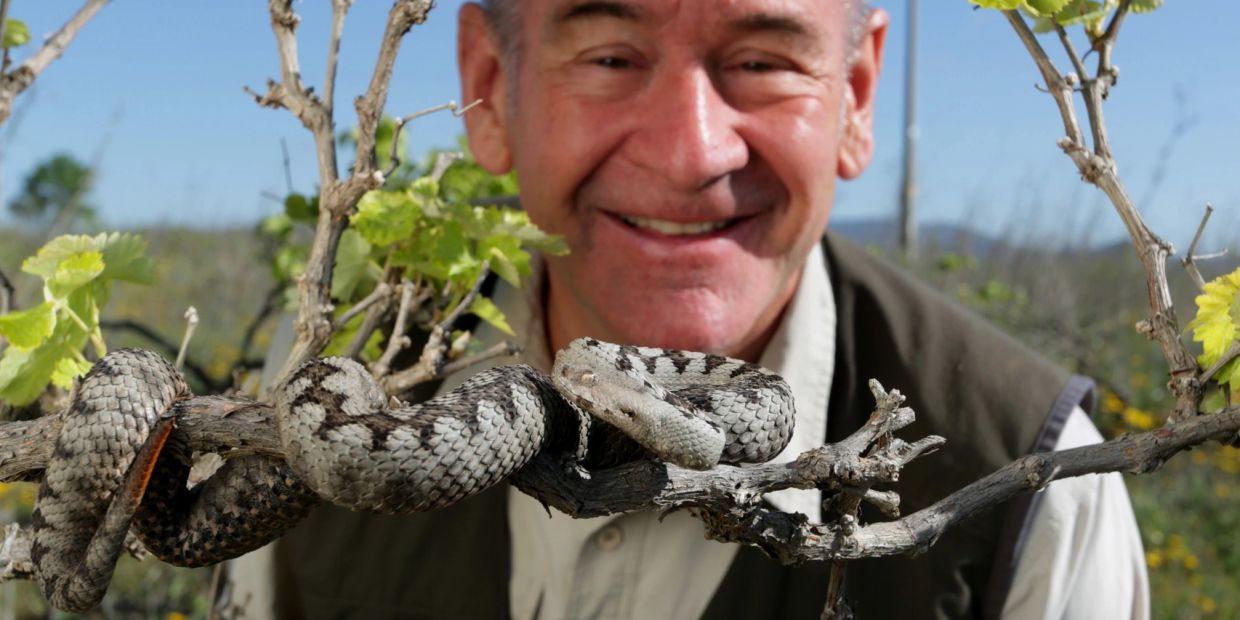Man smiling behind a coiled snake on a tree branch outdoors.