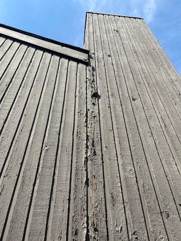 rotten cedar wood, rotten 