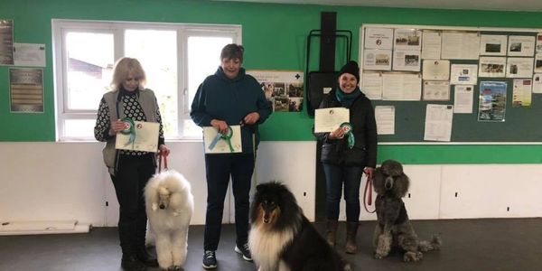 kennel club good citizen award