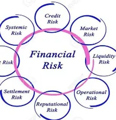 Diagram showing different types of financial risks.