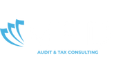 Med Audit