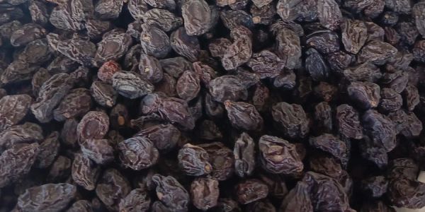 Close-up of a pile of dried black raisins.