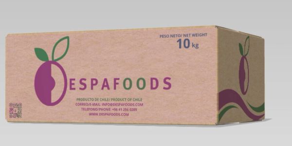 Cardboard box labeled Despa Foods, product of Chile, 10kg net weight.