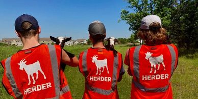 Men wearing neon vests with goat icon and herder text hold goats over their shoulders