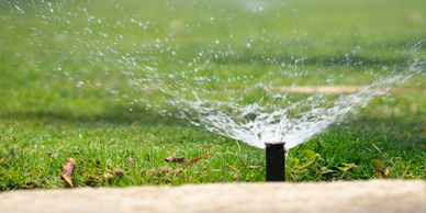 Sprinkler Head