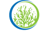 Intertidal Services Inc