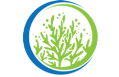 Intertidal Services Inc