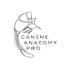 Canine Anatomy. pro 